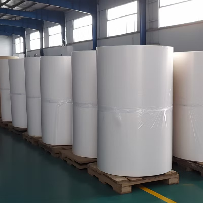 Polypro Synthetic Labels Manufacturer Polypro Synthetic Labels Manufacturer